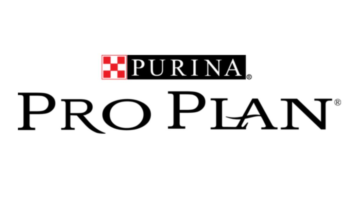 Pro Plan